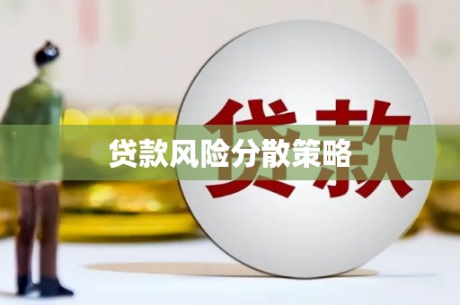 建宁贷款风险分散策略