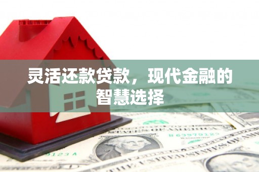 建宁灵活还款贷款，现代金融的智慧选择