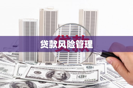 建宁贷款风险管理