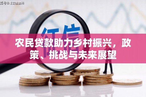 建宁农民贷款助力乡村振兴，政策、挑战与未来展望