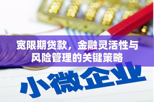 建宁宽限期贷款，金融灵活性与风险管理的关键策略