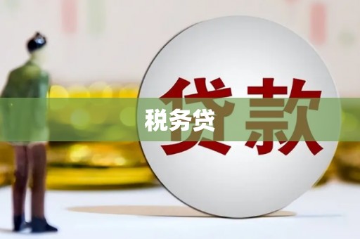 建宁税务贷