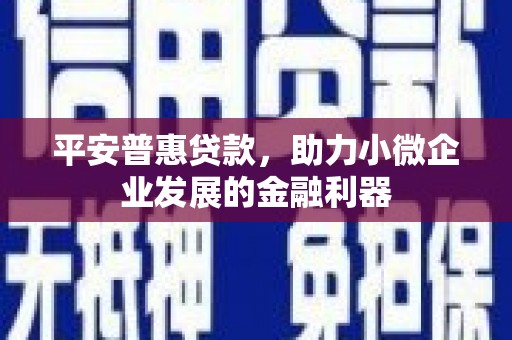 建宁平安普惠贷款，助力小微企业发展的金融利器