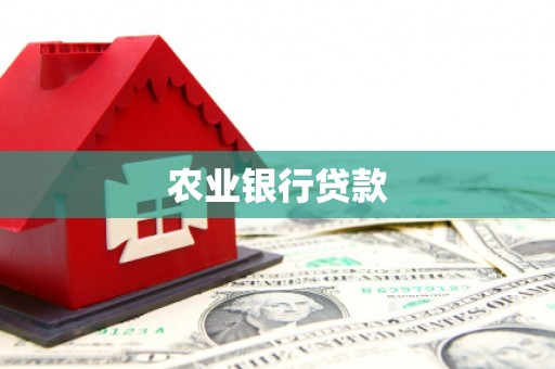建宁农业银行贷款