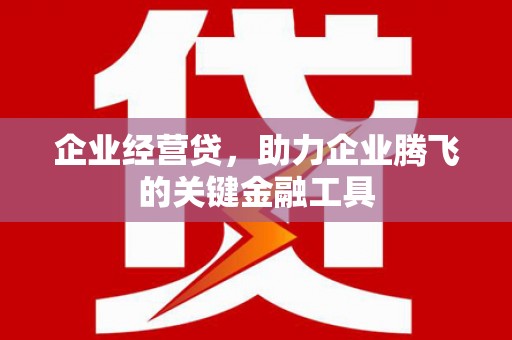 建宁企业经营贷，助力企业腾飞的关键金融工具