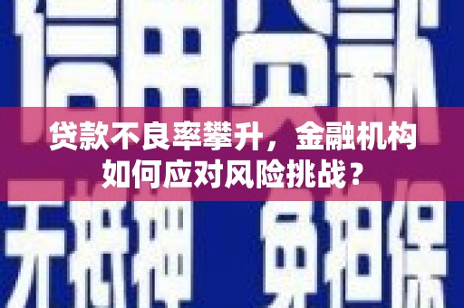 建宁贷款不良率攀升，金融机构如何应对风险挑战？