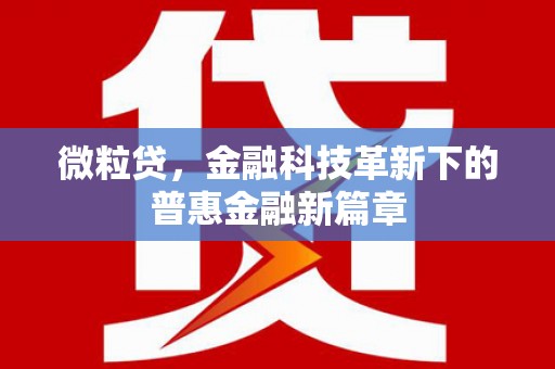 建宁微粒贷，金融科技革新下的普惠金融新篇章