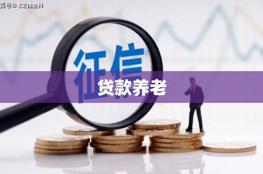 建宁贷款养老