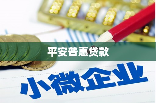 建宁平安普惠贷款