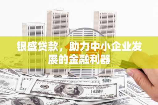 建宁银盛贷款，助力中小企业发展的金融利器