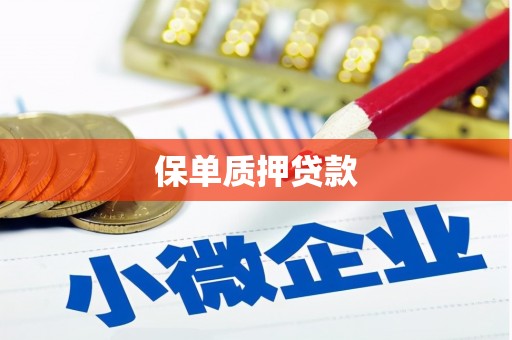 建宁保单质押贷款