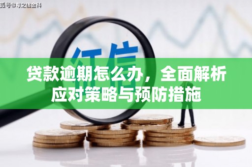建宁贷款逾期怎么办，全面解析应对策略与预防措施