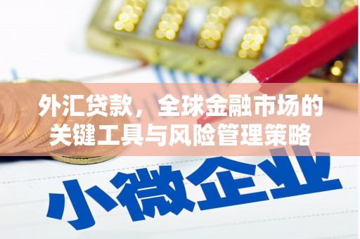 建宁外汇贷款，全球金融市场的关键工具与风险管理策略