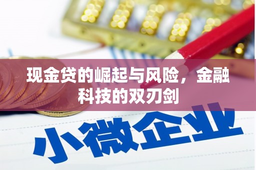 建宁现金贷的崛起与风险，金融科技的双刃剑