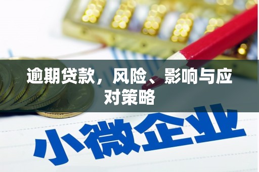 建宁逾期贷款，风险、影响与应对策略