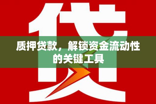 建宁质押贷款，解锁资金流动性的关键工具