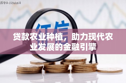 建宁贷款农业种植，助力现代农业发展的金融引擎