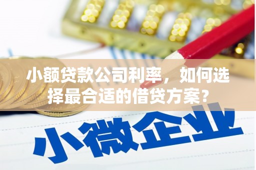 建宁小额贷款公司利率，如何选择最合适的借贷方案？