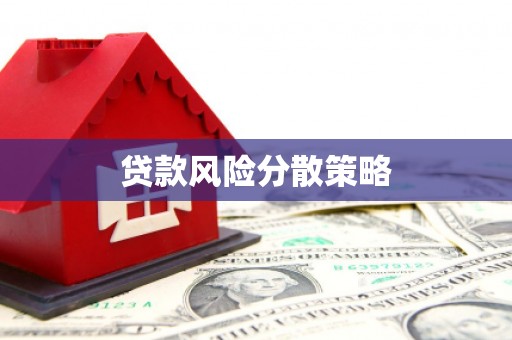 建宁贷款风险分散策略