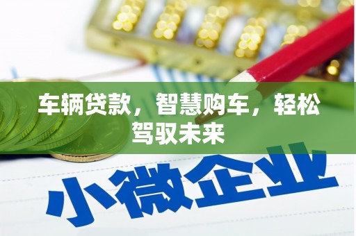 建宁车辆贷款，智慧购车，轻松驾驭未来