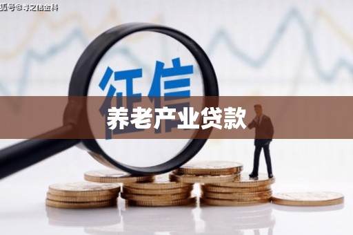 建宁养老产业贷款