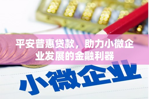 建宁平安普惠贷款，助力小微企业发展的金融利器