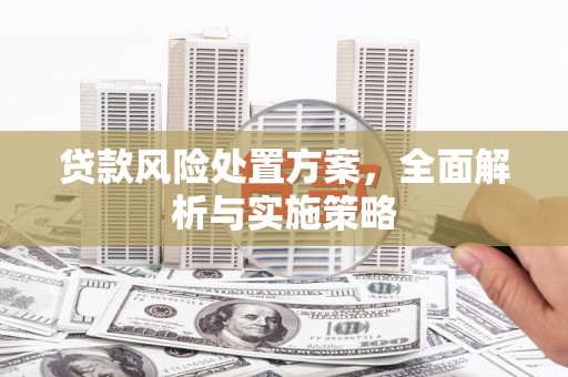 建宁贷款风险处置方案，全面解析与实施策略